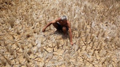 किसानों ने दी सरकार को सामूहिक आत्मदाह की धमकी