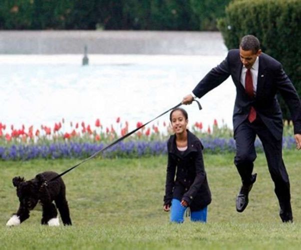 ओबामा के कुत्ते ने मेहमान युवती को काटा