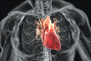दिल के मरीजों से लूट जारी, 8 हजार के स्टेंट के वसूलते हैं 80  हजार