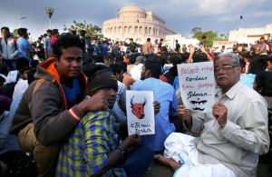 जल्लीकट्टू आंदोलन ने जोर पकड़ा, PM मोदी से आज मिलेंगे CM पन्नीरसेल्वम