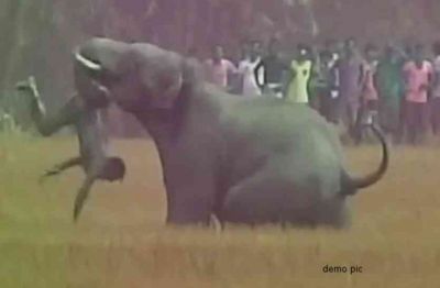हरिद्वार में हाथियों के आतंक से ग्रामीण परेशान