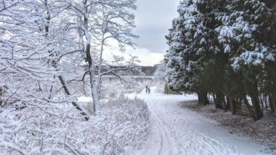 उत्तराखंड में फिलहाल साफ़ मौसम जल्द बदलेगा, शुरू होगी बर्फबारी