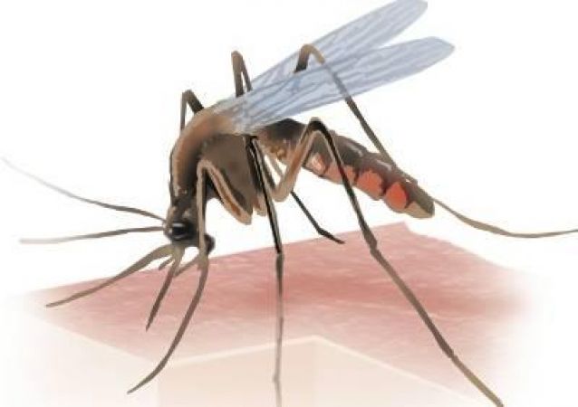 डेंगू के खिलाफ अभियान, घर-घर जाकर डेंगू का लार्वा को नष्ट करेंगे अधिकारी