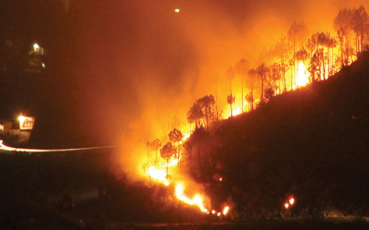 ब्रिटिश कोलंबिया के कनाडाई प्रांत के जंगल में लगी आग