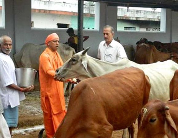 नवरात्र में यूपी के धार्मिक स्थलों पर मिलेगा, गाय के दूध से बनी मिठाई का प्रसाद