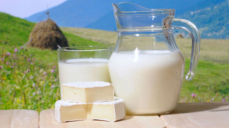 वर्ल्ड मिल्क डे: दूध से जुड़े कई मिथक