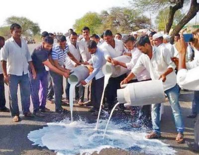 महाराष्ट्र में कर्जमाफी और अन्य मांगों को लेकर किसानों ने की हड़ताल, हजारों लीटर दूध सड़कों पर बहा