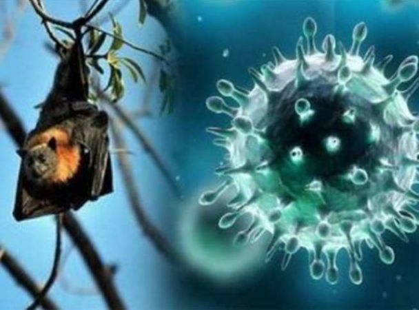 Nipah virus returns in Kerala, 17 people were killed last year