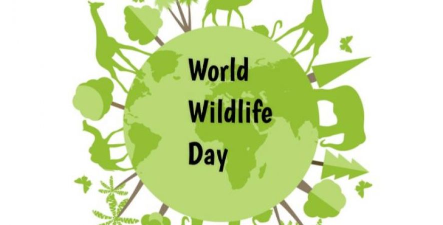 विश्व वन्यजीव दिवस: लुप्त होते जीवों को बचाने के लिए की गई एक पहल