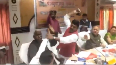 Video : अपनी ही पार्टी के विधायक की सांसद ने कर दी जूतों से पिटाई