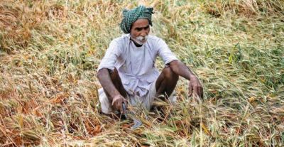 मालवांचल के किसानो पर अब मावठे की मार