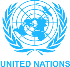 भारत यूनाइटेड नेशन में वीटो छोड़ने को तैयार