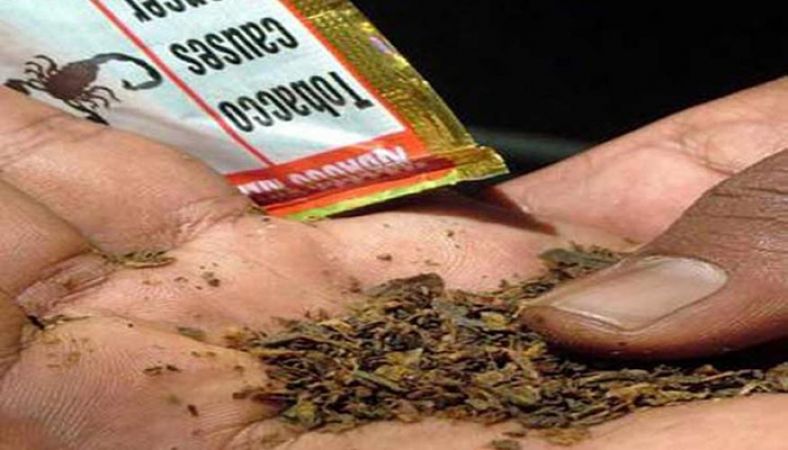 राजस्थान में तंबाकू खाने वालों में 13 फीसदी की कमी