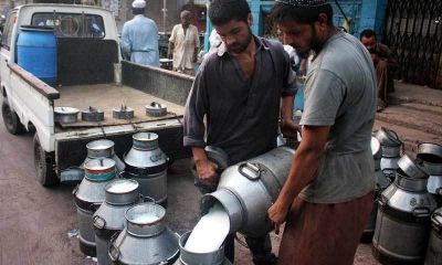 पाकिस्तान में कमर तोड़ मंहगाई , दूध हुआ पेट्रोल से भी ज्यादा मंहगा