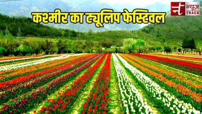 Tulip Festival : ट्यूलिप गार्डन के नाम से भी जाना जाता है कश्मीर