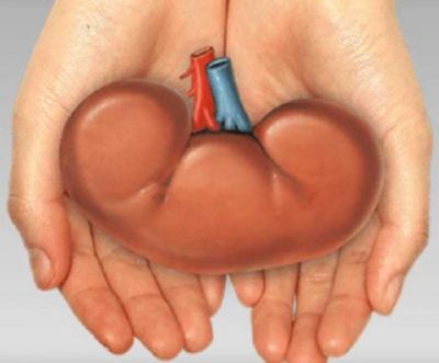 A Hindu and a Muslim woman donated kidneys to each other's husbands
