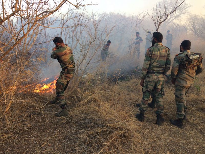 उदयपुर छावनी के पास जंगल में लगी आग
