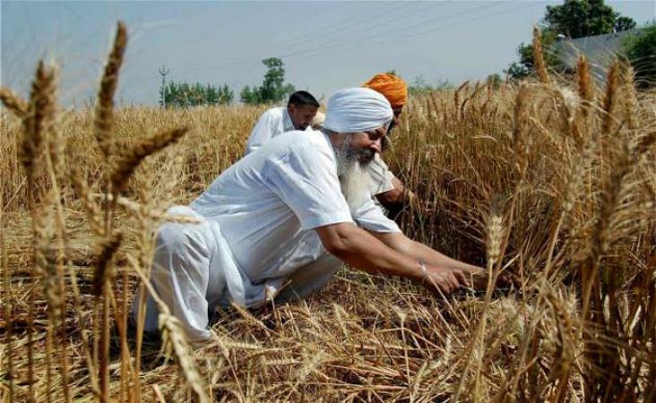 पंजाब के किसानों की मांग, कर्ज माफी पर जल्द फैसला ले सरकार