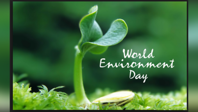 विश्व पर्यावरण दिवस: पर्यावरण के लिए वृक्षारोपण क्यों है जरुरी