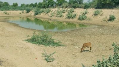 मध्य प्रदेश में भीषण जल संकट, भोपाल में हालत सबसे बदतर
