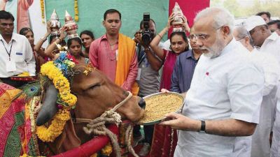 गौ हत्या को रोकने के लिए मोदी सरकार ने लिया ऐतिहासिक फैसला, पुरे देश में लागू किया नियम