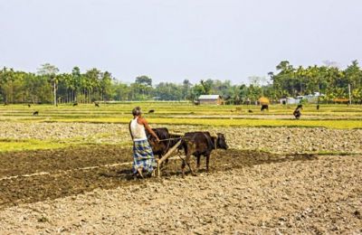 रबी फसल: मिट्टी में कम नमी ने बढ़ाई किसानों की मुश्किलें