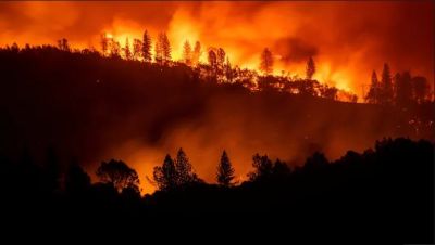 अमेरिका: दो दिन बाद भी नहीं बुझ पाई कैलिफोर्निया की आग, अब तक 31 की मौत, 6500 घर तबाह