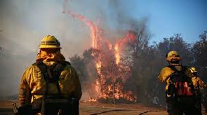 कैलिफोर्निया: इतिहास की सबसे भीषण आग में अब तक 600 लापता, ट्रम्प कर सकते हैं दौरा