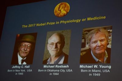 अमेरिका के तीन वैज्ञानिकों को मिला चिकित्सा का नोबेल पुरस्कार