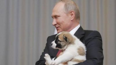 रूस के राष्ट्रपति को गिफ्ट में मिला कुत्ता
