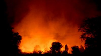 एमपी: दुर्गा पंडाल में लगी भीषण आग, कई झांकियां जलकर राख