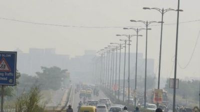 दिल्ली में बढ़ रहे प्रदूषण से सांस लेना मुश्किल, आॅक्सीजन के लिए खास पौधों का सहारा