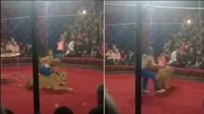 Video : रूस में चल रहे सर्कस में शेर ने किया बच्ची पर हमला