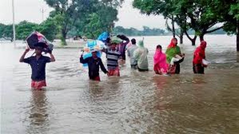 बिहार में आई बाढ़ का कारण है चूहे