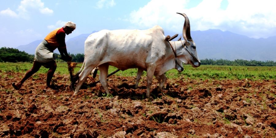 महाराष्ट्र में 10 लाख फर्जी किसान