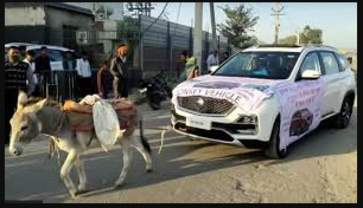 Owner gets donkeys to pull MG Hector, video goes viral