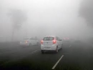Driving Tips For Foggy Season: Follow these driving tips in foggy season, chances of accident will reduce