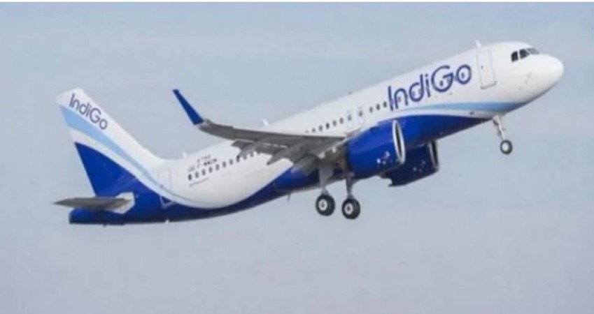 Indigo Airlines will cut salary of employees by 35 percent