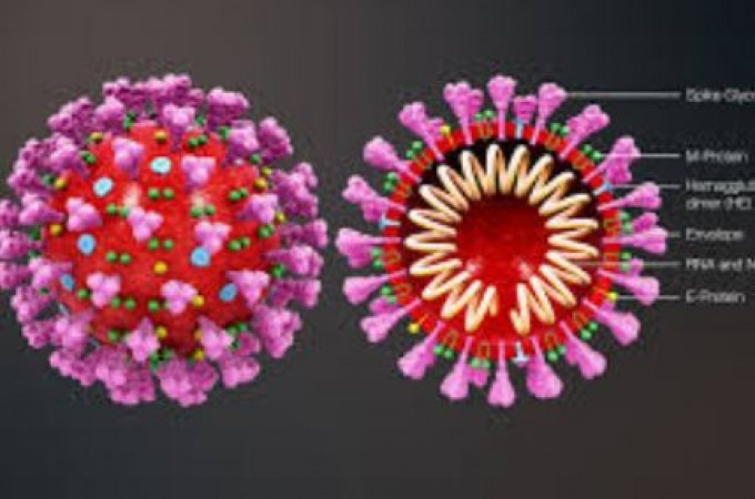 Here's how to raise funds quickly for coronavirus treatment