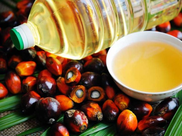 India resumes import of palm oil from Malaysia