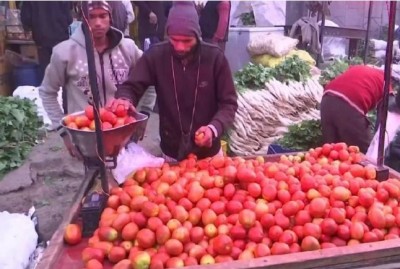 Tomatoes selling for Rs. 120 per kg are now so cheap