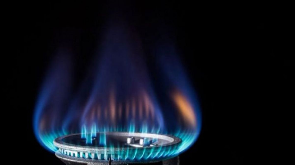 Government cut domestic natural gas prices