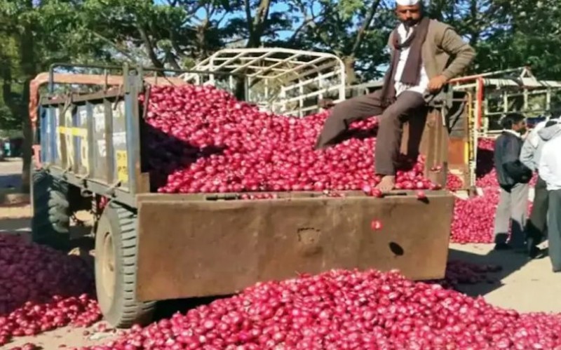 Onion prices rise in the festive season, oil rates stable