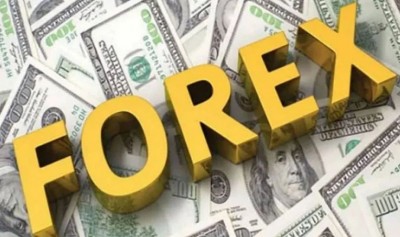 Forex reserves biggest weekly gains in over a year