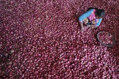 MMTC made a big announcement, India will not import onions from Pakistan