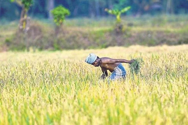PM-Kisan : 7.92 करोड़ किसानों को मिली बड़ी राहत, बैंक खातों में जमा हुई राशि