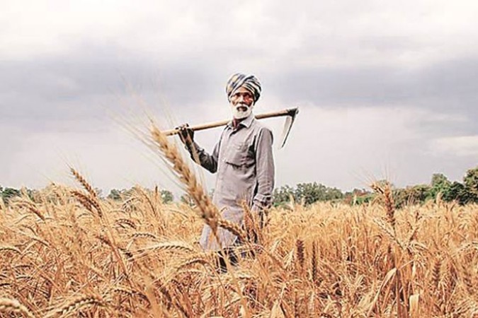 Government launches this app to resolve the problems of Farmers