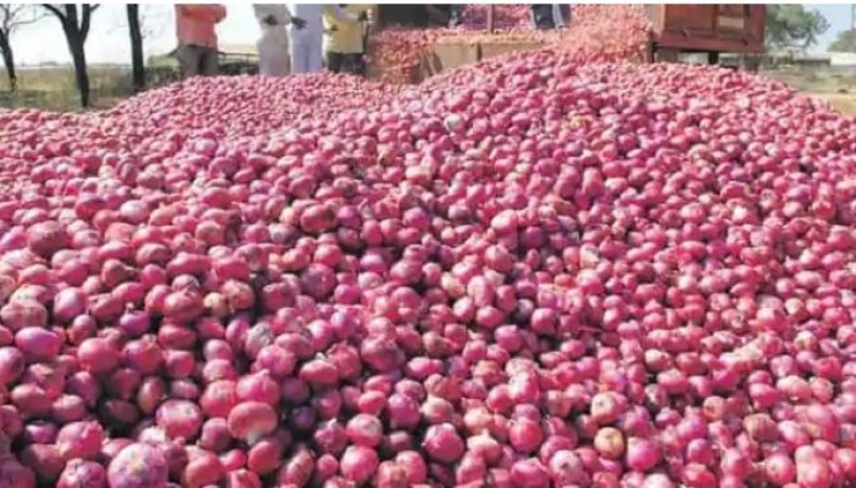 Central government gives exemption on onion imports till 31 January