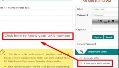 Follow these 5 steps to know about Universal Account Number (UAN)