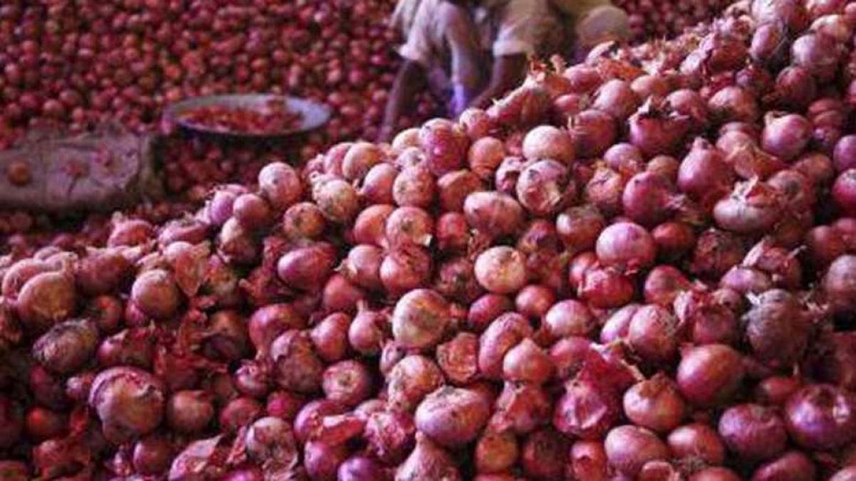 Onion will not make you cry in new year, price drop